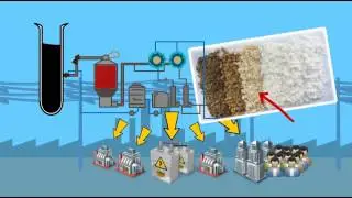 Fibria’s pulp production process - Short version