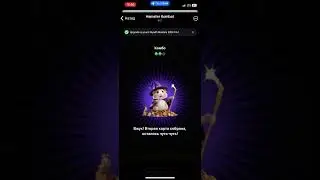 Комбо карты хомяка Hamster Kombat 04.07.24 #hamsterkombat
