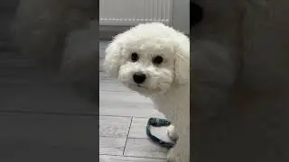 Как учатся дети в польской школе? 