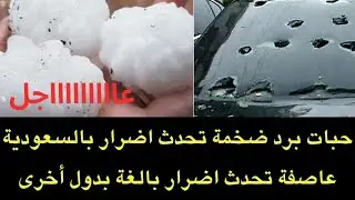 عاجل : حبات برد ضخمة تحدث اضرار بالسعودية واللون الأبيض يغطي الصحراء