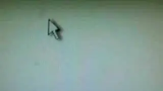 Hmyz v LCD (LCD Bug)