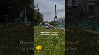 Крысы парижские