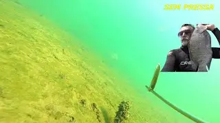 PESCA SUB  - Água Limpa | FAMA SUB | #pescasub #rioparaná #fishing .