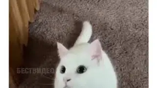 В такт музыке:*_*: