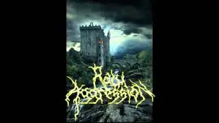 Raw Aggression - Fifteen Demented Souls