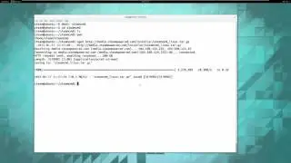 Dedicated Server Install Linux   host part1
