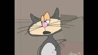 Мне кота в дом?! Нее, нахрен-нахрен всех их, засранцев, нафиг!