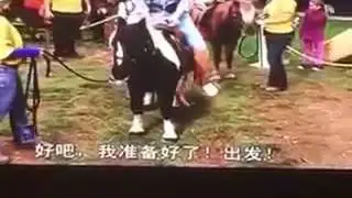 Поня упала на шпагат от груза 😣