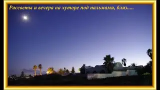 Рассветы и вечера на хуторе под пальмами, близ.....