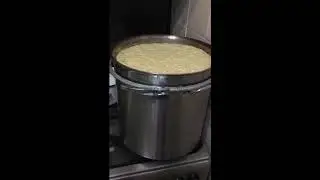 Кукурузный дистиллят 2020