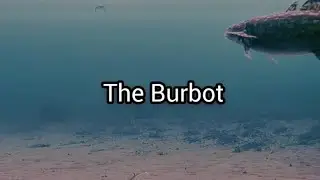 The Secret LIFE of the BURBOT!