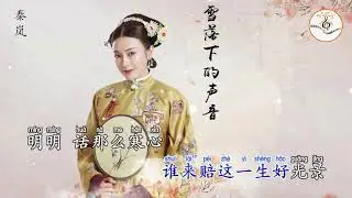 雪落下的声音 秦岚  拼音字体 伴奏版 ktv 卡拉ok字幕