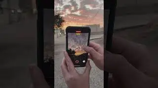 🌅🌅🌅