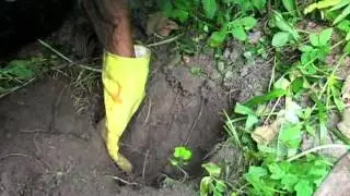 #борьбаскротами