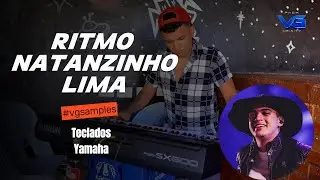 RITMO NATANZINHO LIMA  (VG SAMPLES)