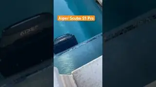 Aiper Scuba S1 Pro climbing the walls #smarthome #pool @aiperofficial