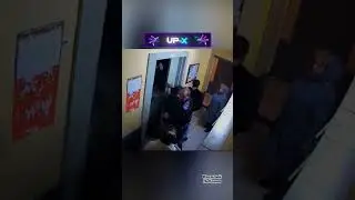 Соседи удивились 😅