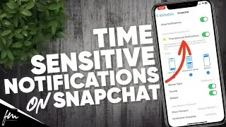 How to turn On / Off Time Sensitive Notifications on Snapchat