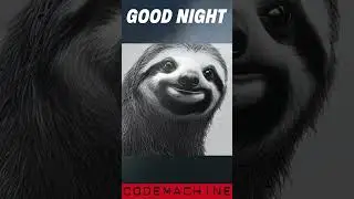 🌙Good Night Sloth😴