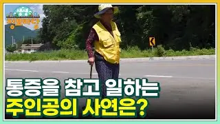 통증을 참고 일하는 주인공의 사연은? MBN 240904 방송