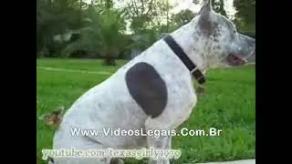 Unlikely baby sitters
