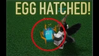 *NEW* EGG HATCHED!!! *UPDATE* | Roblox Build a Boat for Treasure