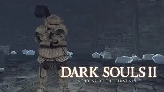 Кто тильтует + в чат #23 [Dark Souls II]