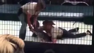 Animal Attacks!