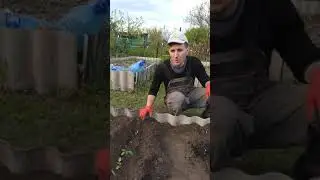 хороший перец - легко!