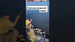 24 июля 2024 г.