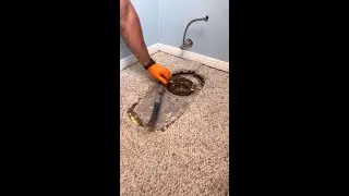 Carpet in the bathroomm???