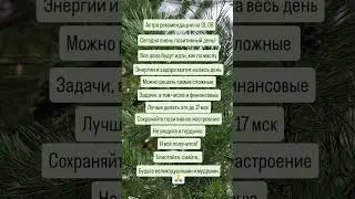 #астропрогнознадень #гороскопнасегодня #гороскопнакаждыйдень #астропомощь