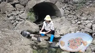 Collect wild pearls under the outdoor stone bridge and harvest purple top-grade pearls
