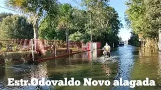 Rua alagada em Parintins-AM - Rua Odovaldo Novo - Enchente 2021