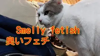 くっーーーーたまらないこの臭い…臭いフェチ…ｸﾝｸﾝ(￣∞￣)