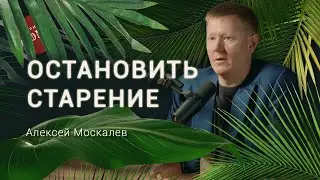 Принципы долголетия от ученого геронтолога. Алексей Москалев