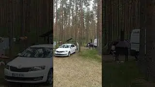 Утро в палаточном городке на Чудском озере.