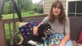 Entrepreneurs Support Nationwide Dog Shelters Through Nonprofit