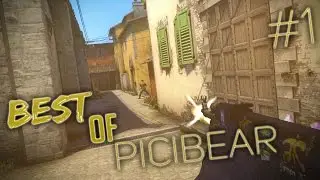 Best of PiciBear #1 by Mixxtrol