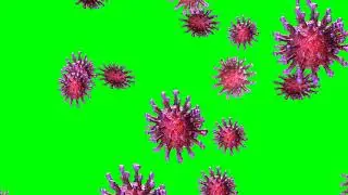 Corona virus Green screen video Copy free