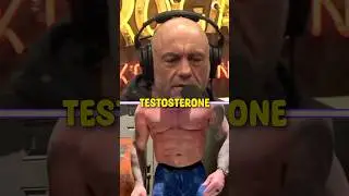 Joe Rogan On Boosting Testosterone 🔥