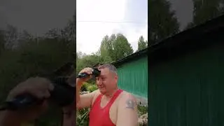 Здравствуй лето!