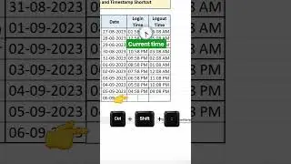 Excel Tricks: How to Use Date and Timestamp Like a Pro! 