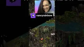 Самая бесполезная армия воров в мире | nancyrainbow on 