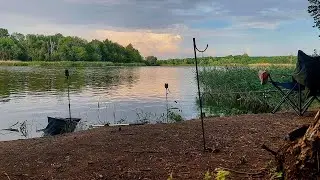 З технопланктоном 