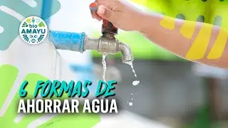 ¿Cómo ahorrar agua desde casa? | BIO AMAYU