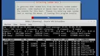 Implementing HTTPS through TLS using Network Security Service (NSS) for Apache in RHEL 7 - RHCE 8