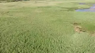Hubsan Zino footage #7