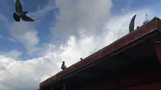 It's getting better all the time