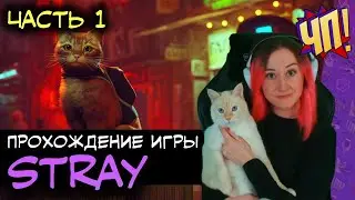 СТАЛА КОТОМ! Прохождение Stray | Часть 1